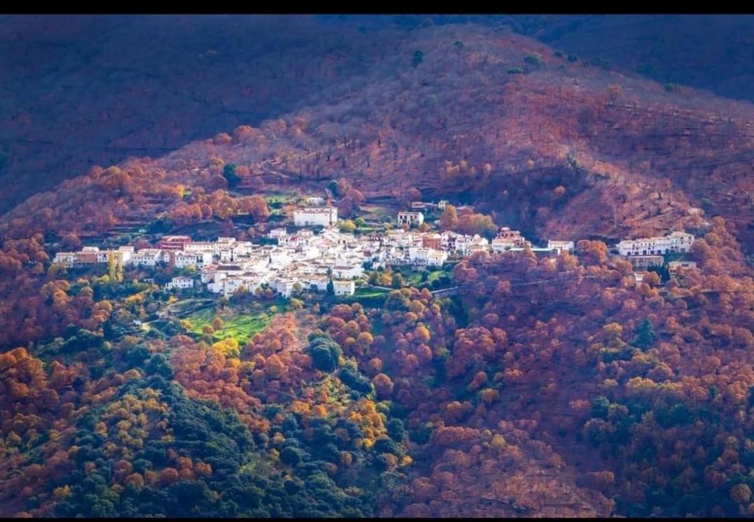 Casa Rural Los Jilgueros Pujerra Kültér fotó